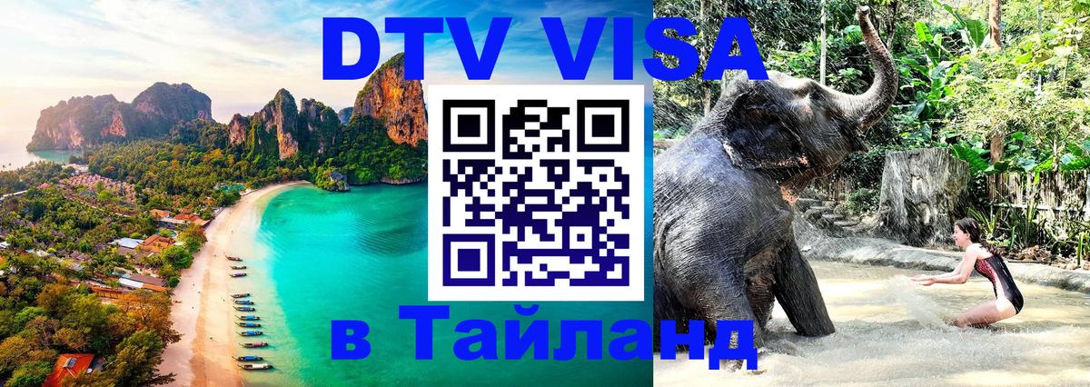 Сколько стоит DTV виза — актуальные цены, оформление даже без документов - Воронеж 